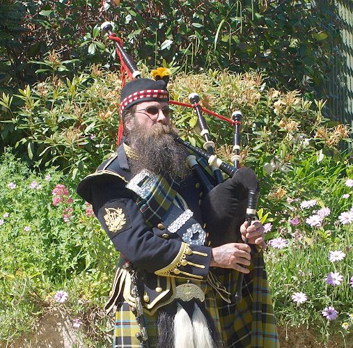 Click here for the gallery page