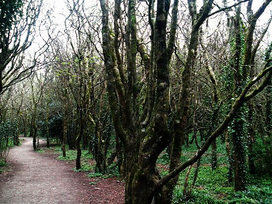 Click here for the Gallery category page