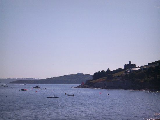 Click here for the Gallery category page